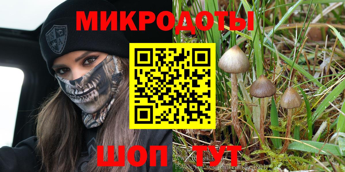 Псков  Галлюциногенные грибы MAGIC MUSHROOMS  Вход с VPN 