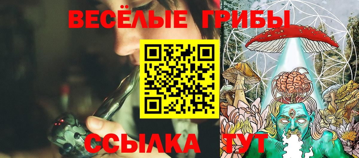 Галлюциногенные грибы мицелий Псков